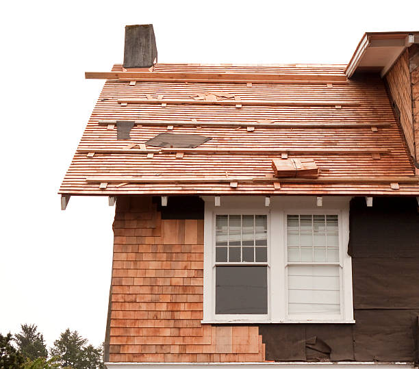 Best Brick Veneer Siding  in Whitmire, SC